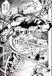 Kouki and Byakusa