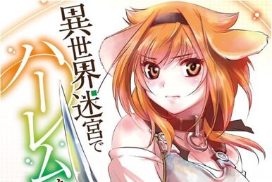 Light Novel: Volume 11  Slave Harem in the Labyrinth of the Other