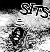 Nt-ant-manga-3