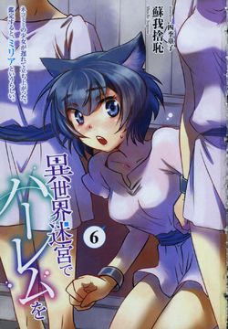 Light Novel: Volume 11  Slave Harem in the Labyrinth of the Other