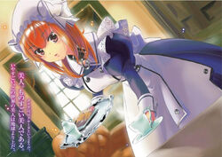 Mio (Kaga), Slave Harem in the Labyrinth of the Other World Wiki