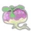 Turnip