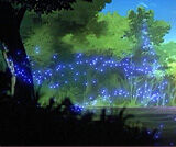 Fairy souls.jpg