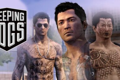 DAF Sleeping Dogs Skin