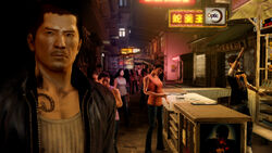 Sleeping Dogs, Sleeping Dogs Wiki