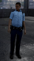 Regular police officer