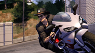 Lone sheriff’s hat.