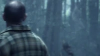  sees  the day in the woods he's found  and .