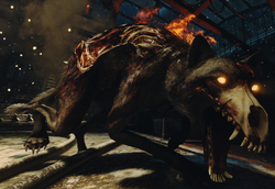 Hellhound BO3