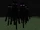 Endermenswarm.jpg