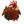 Cocqo.png