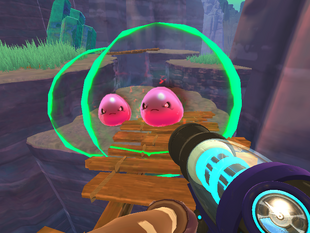 The Moss Blanket/Feral Path, Slime Rancher Wiki
