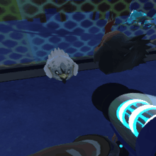 Chicken Breeding Slime Rancher Wiki Fandom These slimes rarely live in groups, as they are very aggressive not only towards ranchers but also other slimes. chicken breeding slime rancher wiki