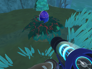 KookadobaPlant.png (478 KB) A Kookadoba plant as seen in The Wilds.