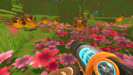 Moss Blanket Flower Beds.gif