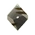 PlortTABBY