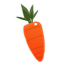 Zanahoria