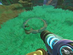 The Moss Blanket/Feral Path, Slime Rancher Wiki