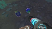 SlimeRancher-2017-10-18-10-30-41-05.png (987 KB) A rotten kookadoba next to a fresh kookadoba