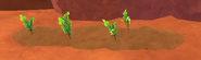 A carrot plot in The Dry Reef.