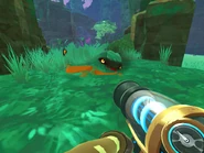 Feral Path.png (670 KB) Two Feral Honey Hunter Largos. Run!