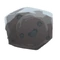 Fósil Slime