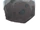 Fósil Slime