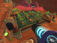 Ditto, in a Deluxe Upgrade.