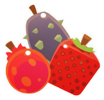 Fruit Category-0000.png
