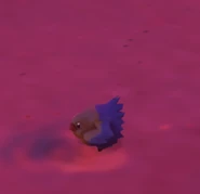 A Sea Chickadoo in-game