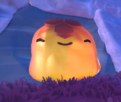 Wild Honey (Slime Rancher 2), Slime Rancher Wiki