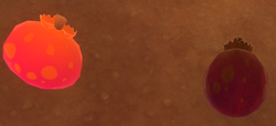 Slime Rancher Wiki - Slime Rancher Pogo Fruit, HD Png Download - vhv