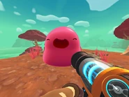 DryReefPinkGordo2.png (454 KB) The Pink Gordo.
