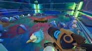 A bunch of sea hens in a fully-upgraded Coop