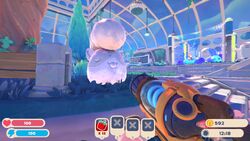 Ringtail Slime, Slime Rancher Wiki