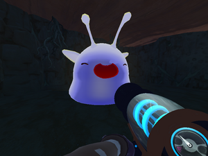 Gordo Slimes, Slime Rancher Wiki