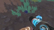 SlimeRancher-2017-10-17-06-49-11-74.gif (4.08 MB) A rotten kookadoba fruit.