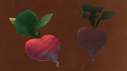 A normal Heart Beet and a rotten Heart Beet, side by side.