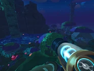 Mushroom Lake at night.