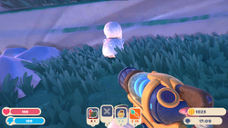 Ringtail Slime, Slime Rancher Wiki