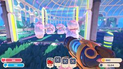 Ringtail Slime, Slime Rancher Wiki