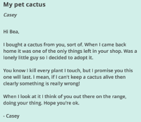 Pet cactus