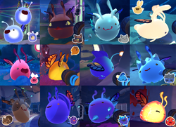 Slime fosforecete, Wiki Slime Rancher Brasil