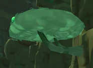 A hanging Mint Mango tree in The Moss Blanket.