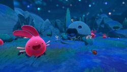 Rainbow fields probably all resources : r/slimerancher