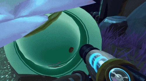 Слайм ранчер вьюнок. Вьюнок гордо слайм ранчер. Вьюнок слайм slime rancher. Слайм рейнджер гордо. Где находится вьюнок слайм.