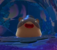 SR2RingtailGordo.png (608 KB) A Ringtail Gordo in Starlight Strand