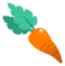 Carrot