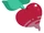 Heart Beet (Slime Rancher 2)