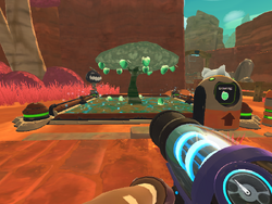 Where to find Mint Mango in Slime Rancher 2 - Dot Esports